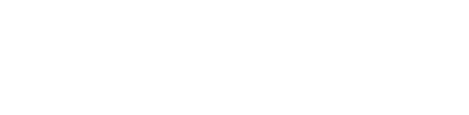 MirrorVue Logo